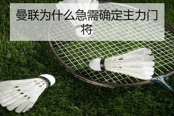曼联为什么急需确定主力门将
